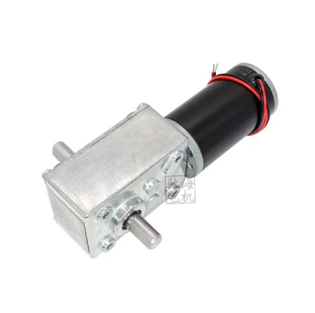 CHW4058-3162 Высокая Точность DC 24 в 12 В червь шестерни коробка Снижение Электрический двигатель двойной вал шестерни