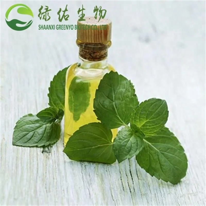 
Factory supply natural Pennyroyal mint oil peppermint essential oil low price 