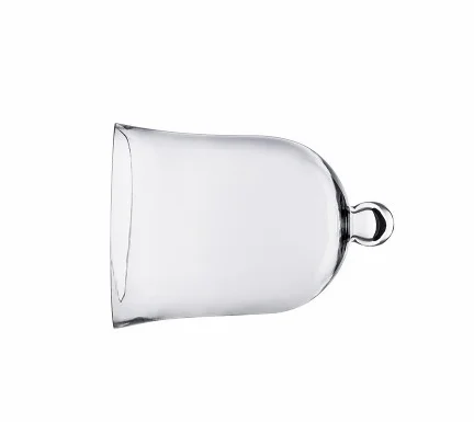 Glass Cloche Bell Jar Plant Terrarium Cloche Opening Bell Jar Glass Display Dome Cloche