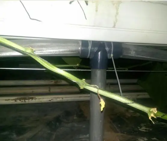 Greenhouse used CO2 Supplement System