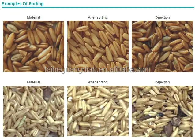CCD Barley Color Sorter color Sorting Machine Agricultural Equipment