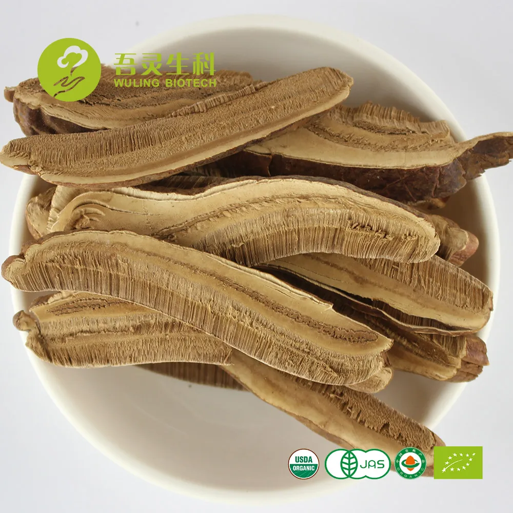 
wholesale private label fruit body red ganoderma lucidum reishi mushroom seed for enhancing immune system 