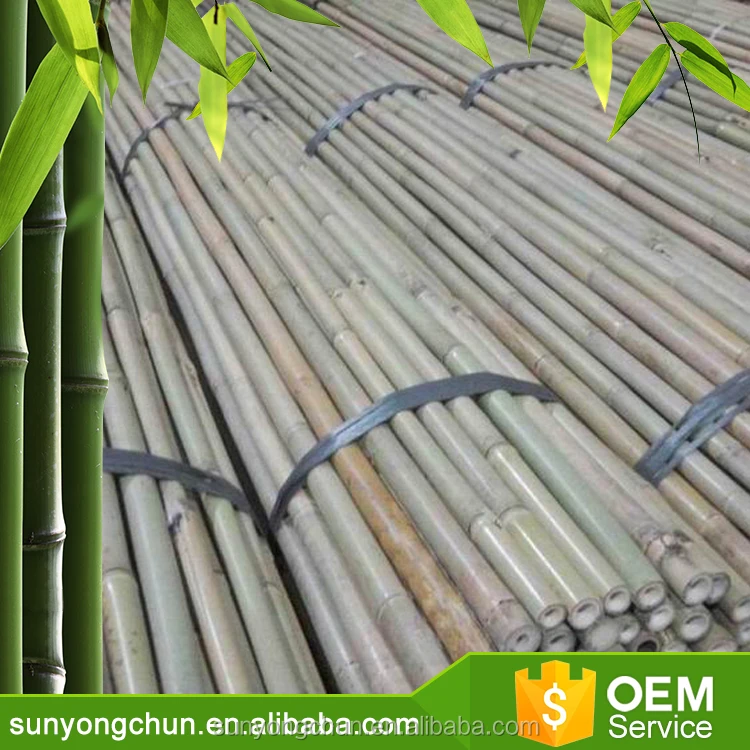 Large indonesia philippines sale panel Decorative natural roll up fencing agricultural stake diameter dry bamboo poles