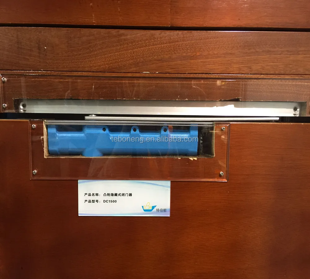 High Quality CAM Type Concealed Cast-iron Door Closer Hold-open Sliding Hidden Door Accessories