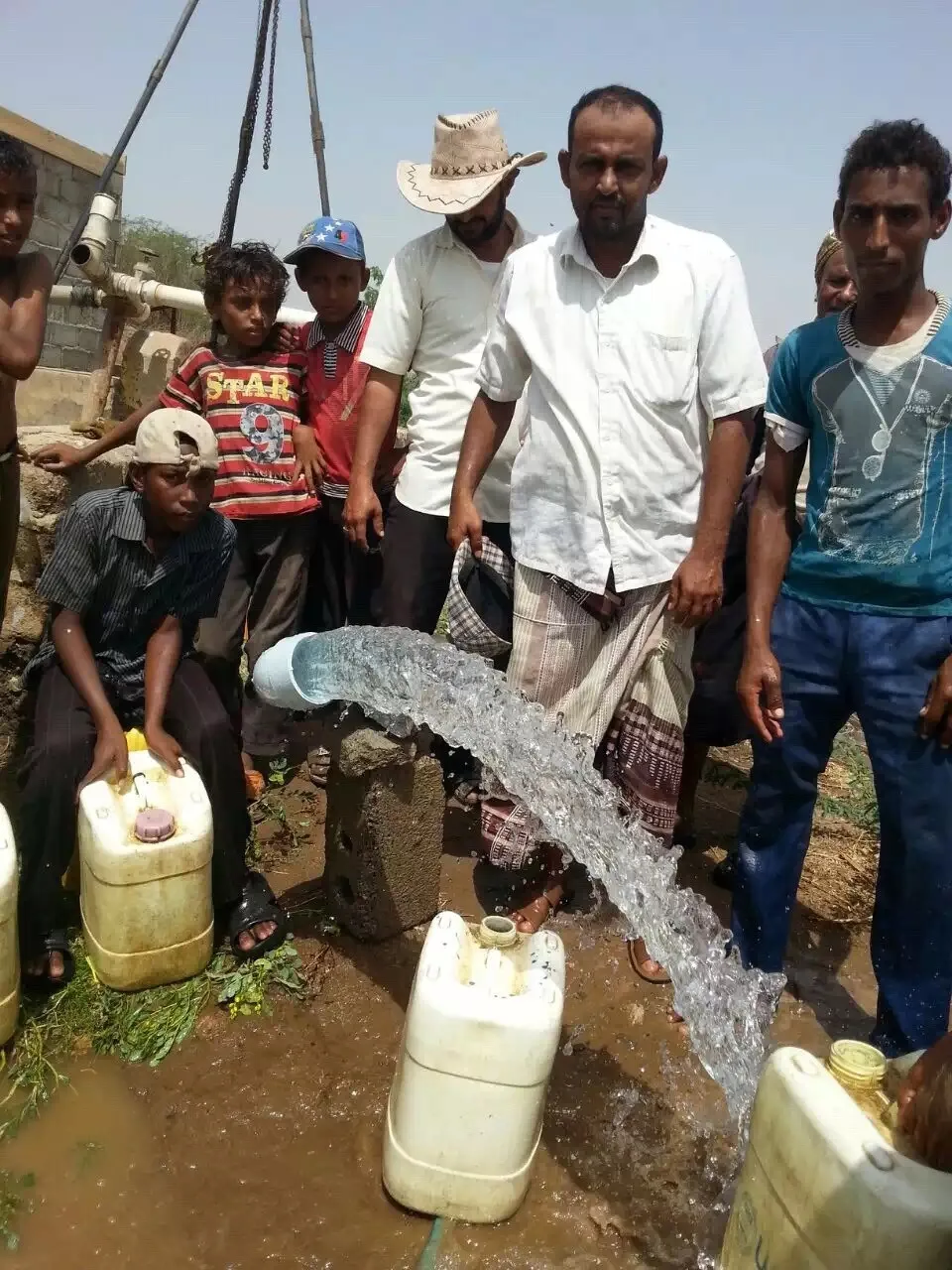 Солнечный водяной насос LARENS Deep Well 750 Вт DC, солнечный насос для орошения с солнечными панелями