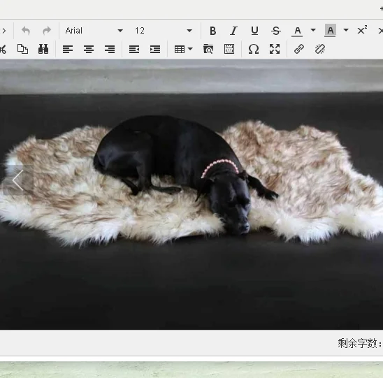 new design top selling faux fur dog bed irregular warm dog bed