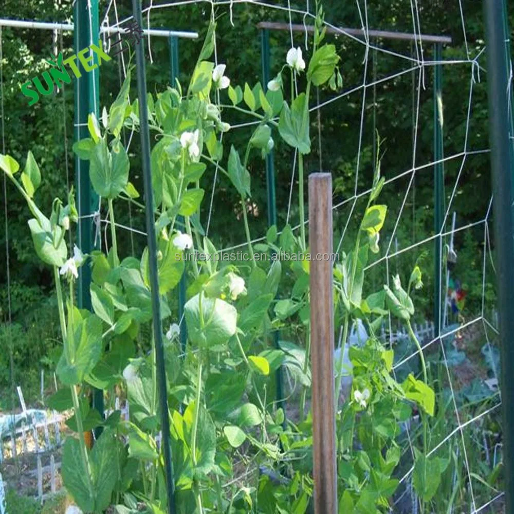 Полипропиленовая экструдированная сетка для поддержки растений, белая сетка 15 см, размер отверстия, сетка для цветочных бобов