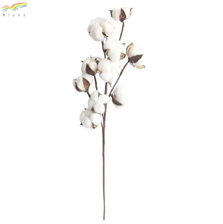 Really Natural White Cotton Stems Dried Flower Branch 10 Head for Farmhouse Style Decoration