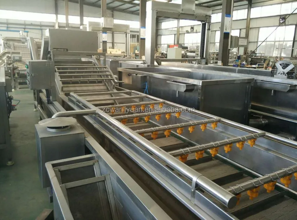 Commercial fruit washer equipment banana washing machine price