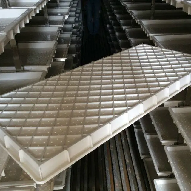 Plastic hydroponics barley grow tray for wheat barley sprouts growing