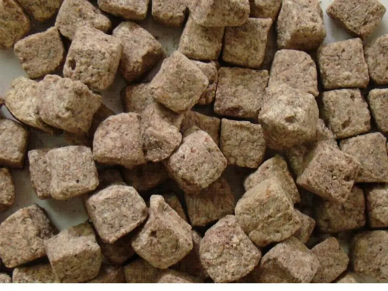 Support customized high-nutrient and high-protein freeze-dried brine shrimp for fish