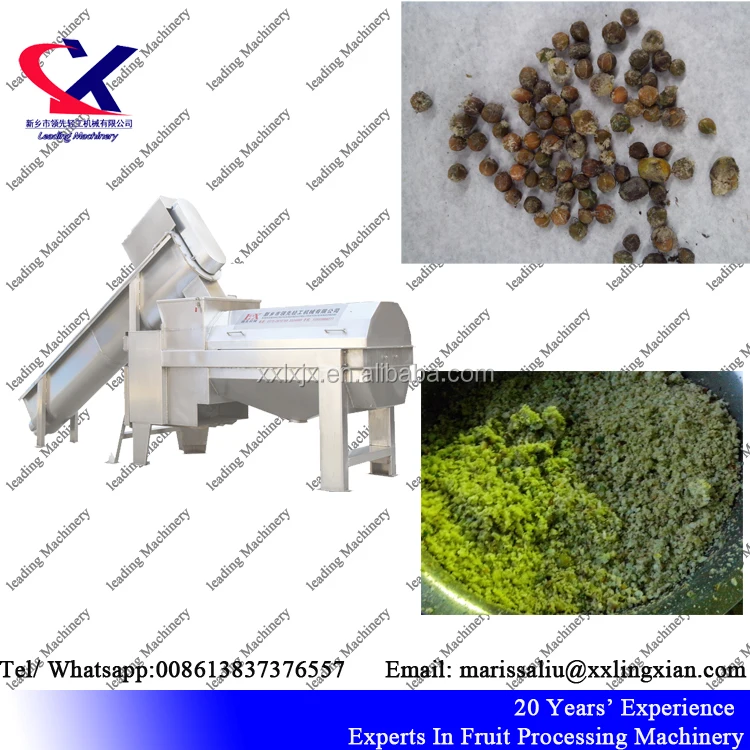 Olive Pitting Machine 5t/h suitable for Industrial Olive seed removing Machine
