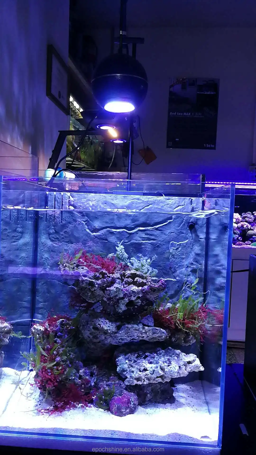 SPS LPS tank used 80w nano led aquarium coral lighting