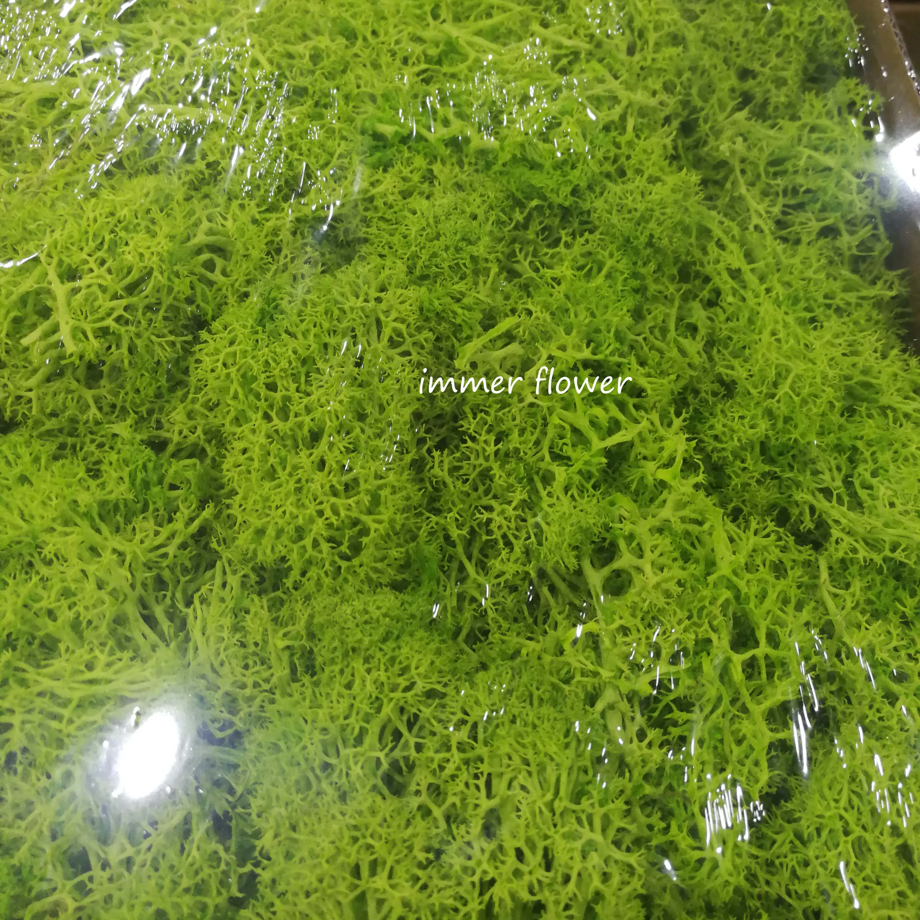 best selling java moss arrangements bouquet flower