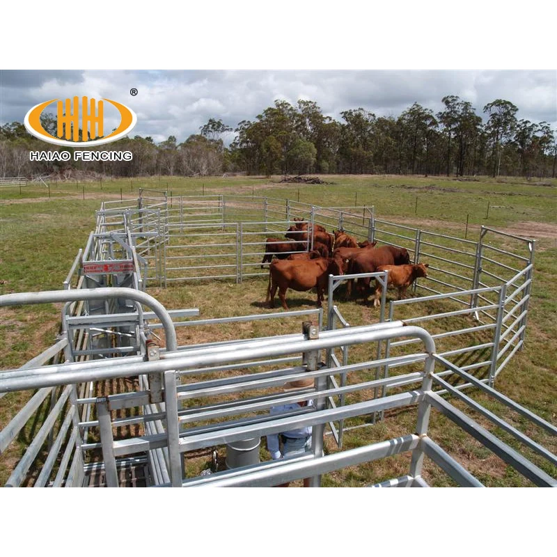 wholesale bulk cattle fence hot sale wire welded cattle panels