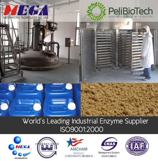 High activity enzyme catalase for hydrogen peroxide removal