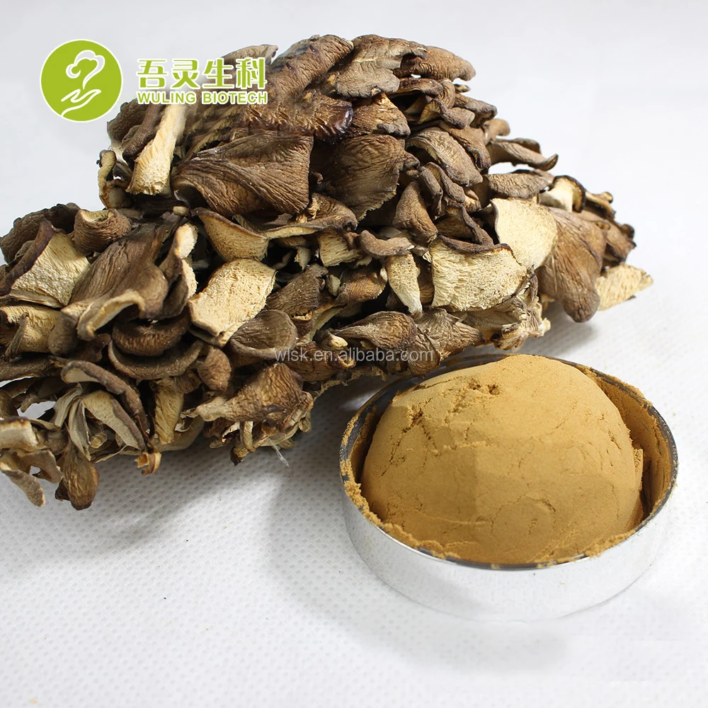 Free sample professional manufacturer maitake fungi frondosa mushroom growing with PDF approval