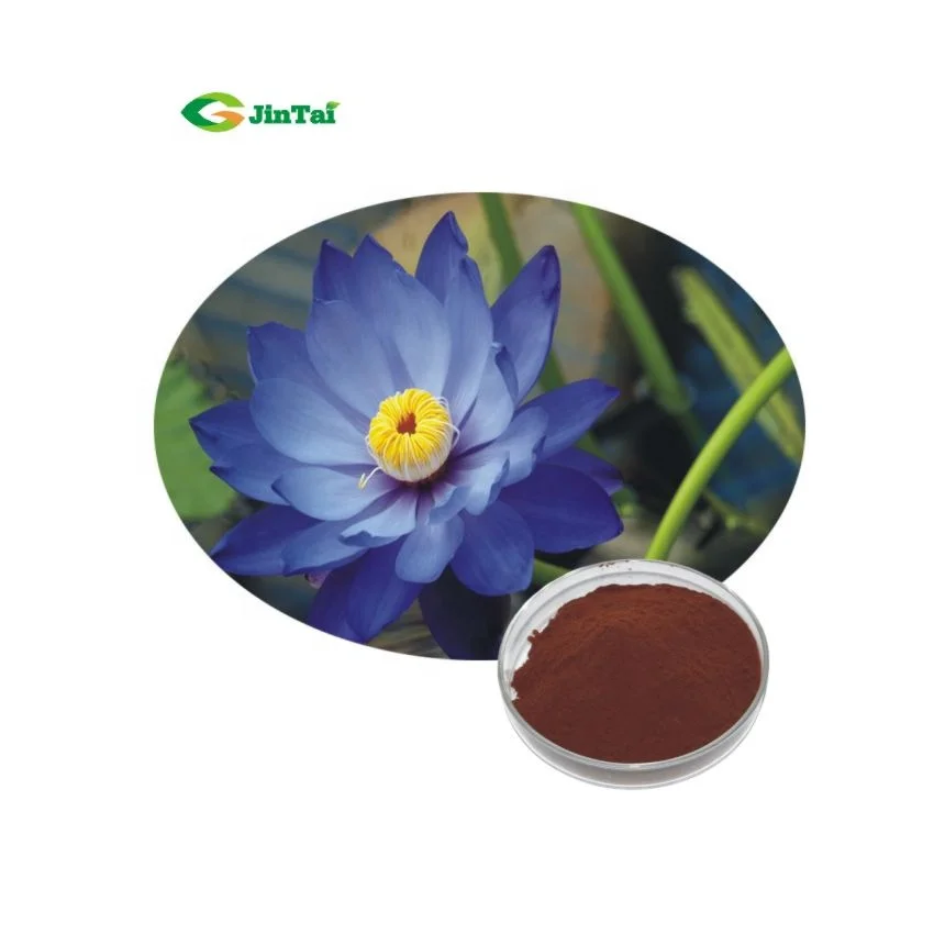 Blue Lotus Extract 100:1 Wholesale nymphaea caerulea extract Egyptian lotus extract