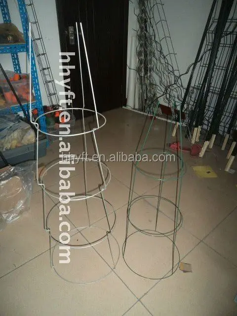 
6.5mm*1.8m tomato wire for amphisarca fruit on hot sale 