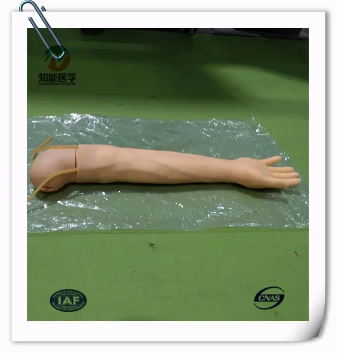 BIX-HS2 Медицинской науки руку IV дельтовидная впрыска модель