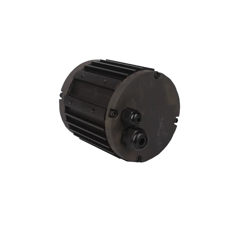 24v 1000w brushless dc motor