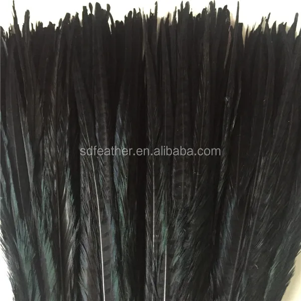 bleached and dyed 50-55cm ringneck pheasant tail feather