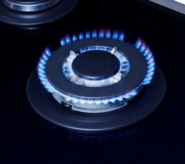 New Model Blue Flame Electric Stove And Hob Gas Hot Plate Cooker