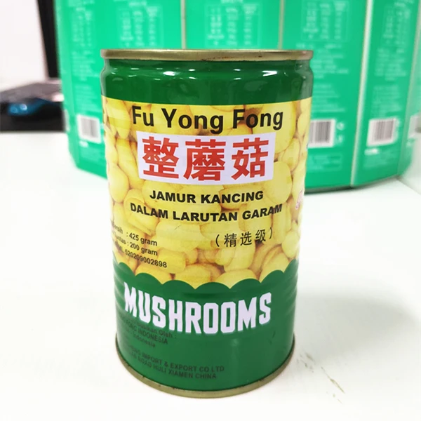 Zhangzhou canned mushrooms from china