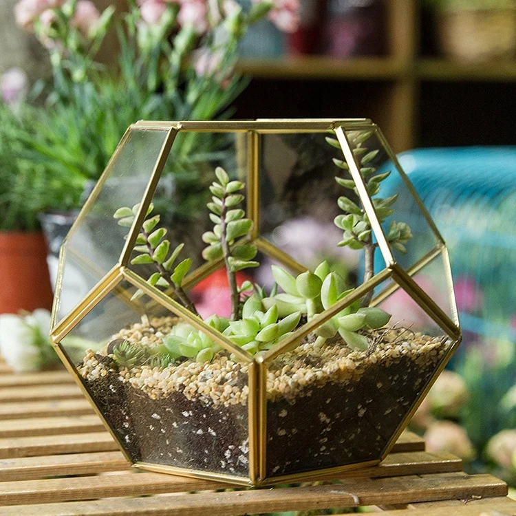 Box Geometric Terrarium Vintage Artificial Glass Bulk Copper for Indoor Terrarium Tabletop Vase Acceptable Customized 15~30days