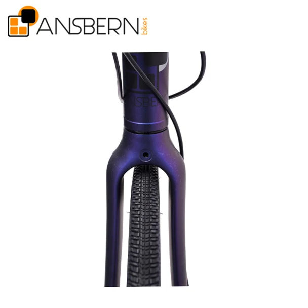 
2019 Ansbern High End City Bike 7 Speed Belt Drive City Star Bike Bicycle 