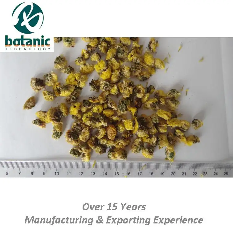 
Dried Perennial chamomile Euryops pectinatus Huang jin ju Huangjinju 