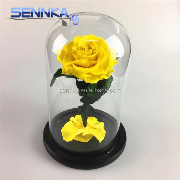 Yunnan Wholesale Preserved Rose in Glass Dome for Home Decoration