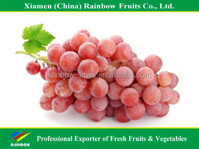 
Fresh grapes china with top quality 