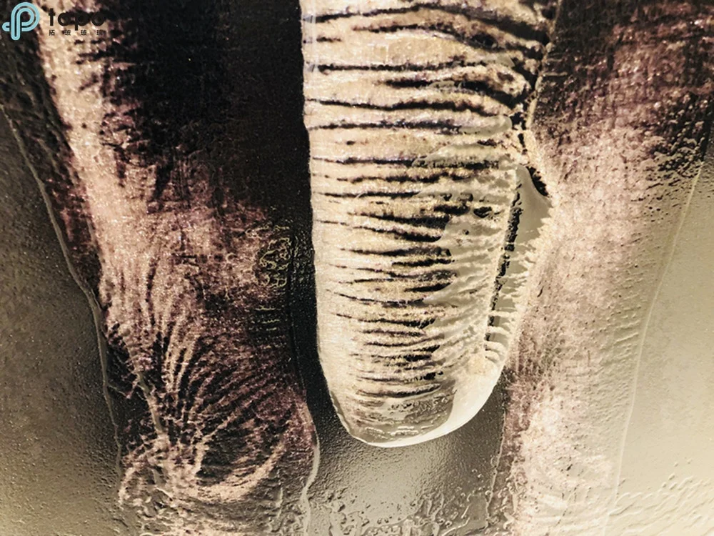 
Wall Art Framed Painting 3D Lifelike Elephant Glass Painting on Low Iron Glass (MR-YB6-2038) 