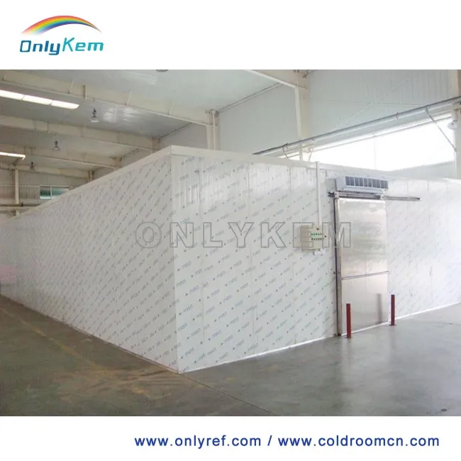 Bitzer компрессор Copeland холодной комнате хранения стоимость проекта для фруктов и мяса