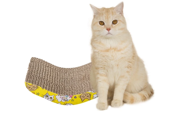 
Interactive Cardboard Scratcher Pad With Catnip for Cat Kitty Kitten 