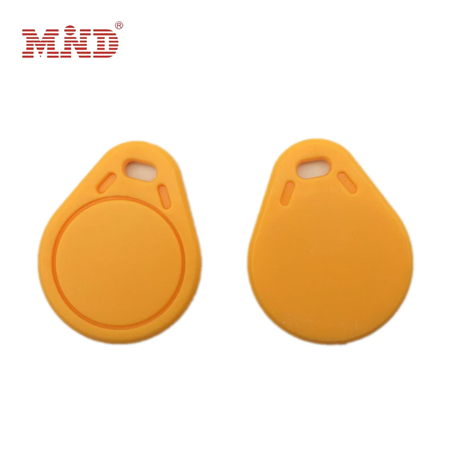 Access Control LF HF ABS Plastic Keyfob Gym Spa Hotel Key Chain ABS Keychain 125khz/13.56mhz RFID Key Fob Key Tag