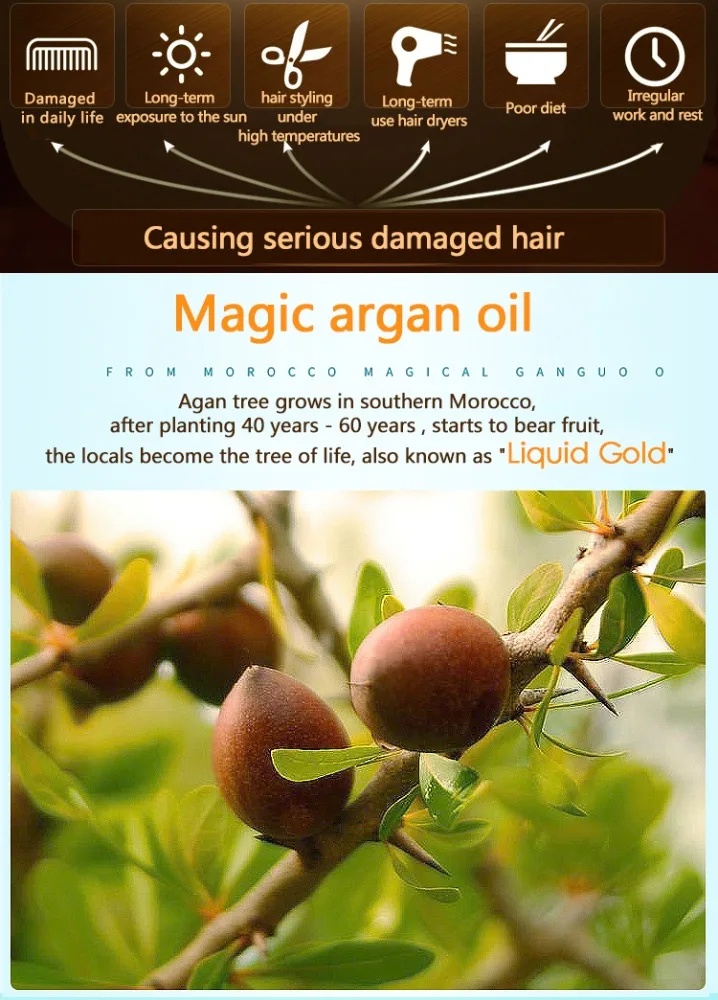 OEM ODM professional supplier hair products pure Beauty Salon moroccan argan oil