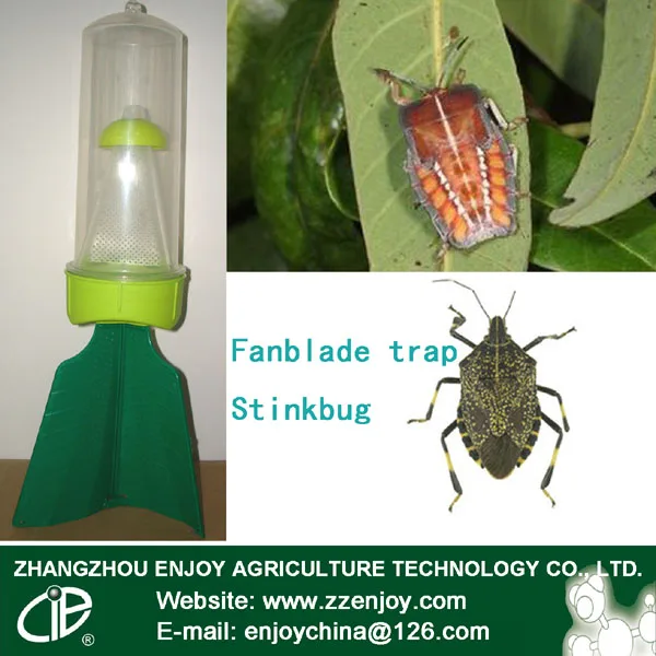 Best price plastic pantatomidae stink bug traps China