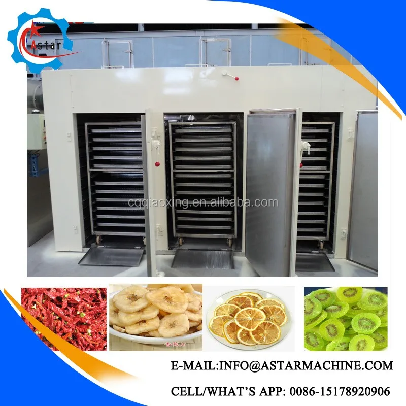 Cheap machine to dry fruit/fruits dryer
