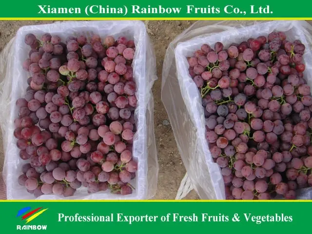 
Chinese fresh delicious red table globe grape wine grapes 