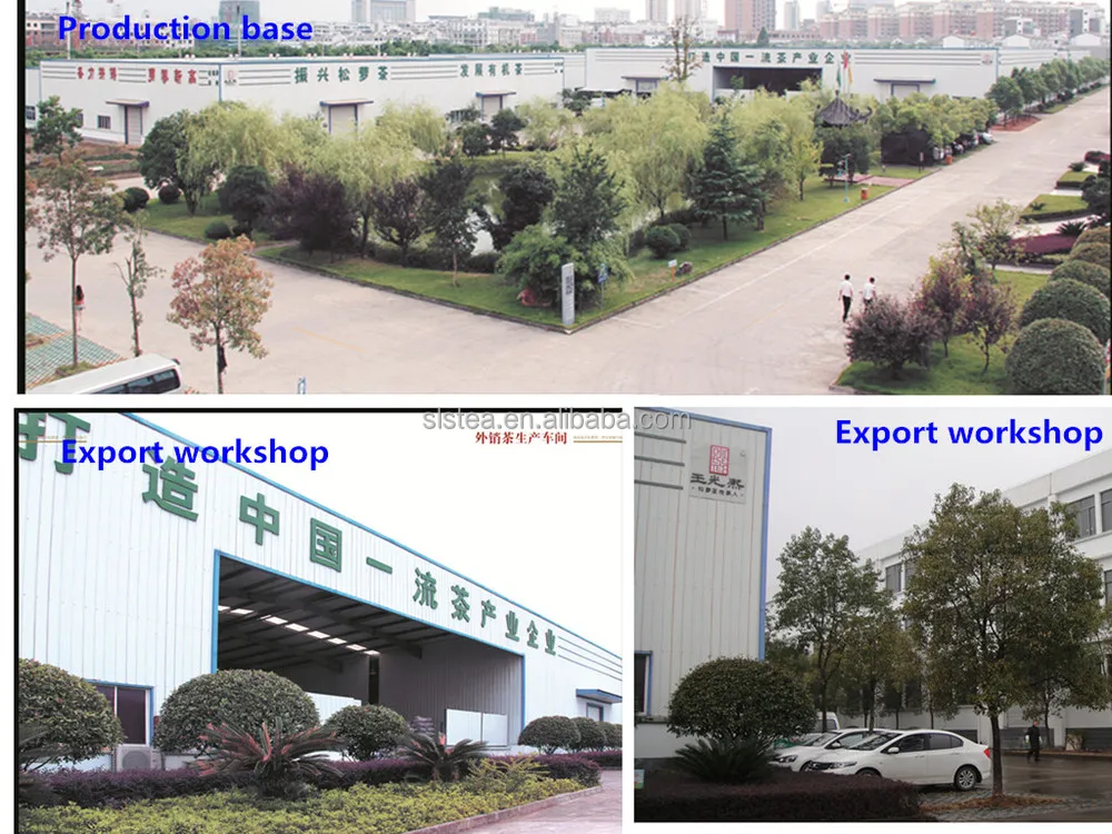 chunmee green tea 8147 with cheap price for wholesale