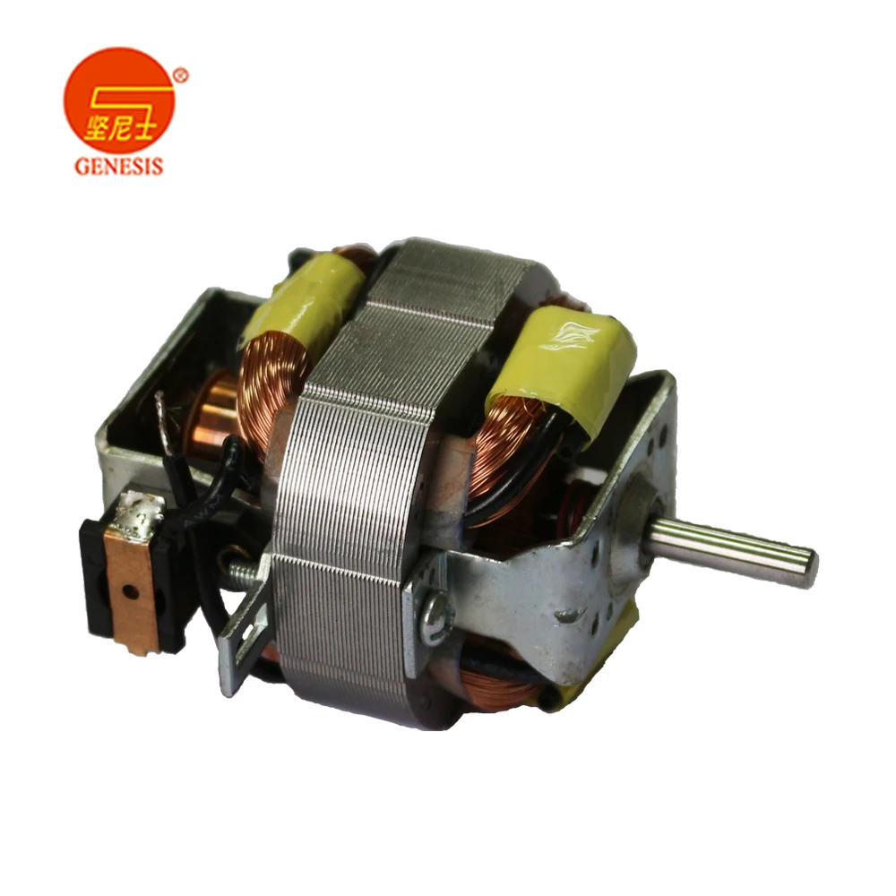 100-240V ac motor hair dryer motor part