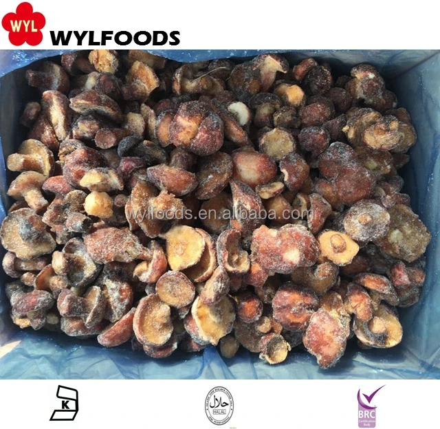 IQF Замороженных Грибов suillus granulatus