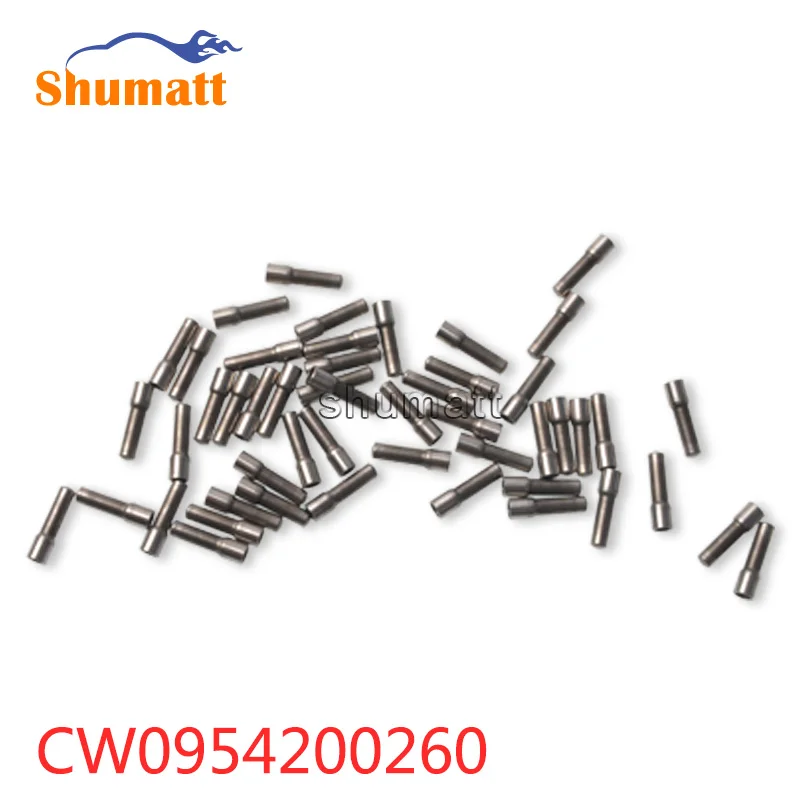 Натуральная дизельная Форсунка системы питания с общей торливной магистралью фильтр CW095420-0260 10 шт. в комплекте