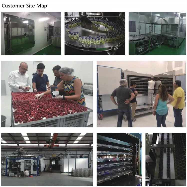 Portable Homemade Liofilizator Mini Lyophilizer Freeze Dryer Lyophilizer For Making Pet Food