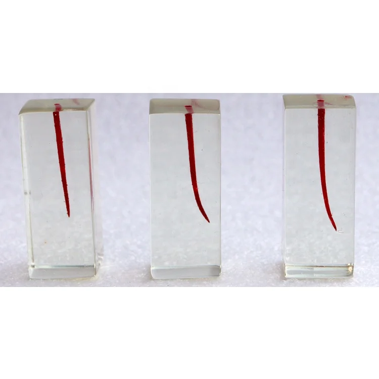 Dental teeth root canal model