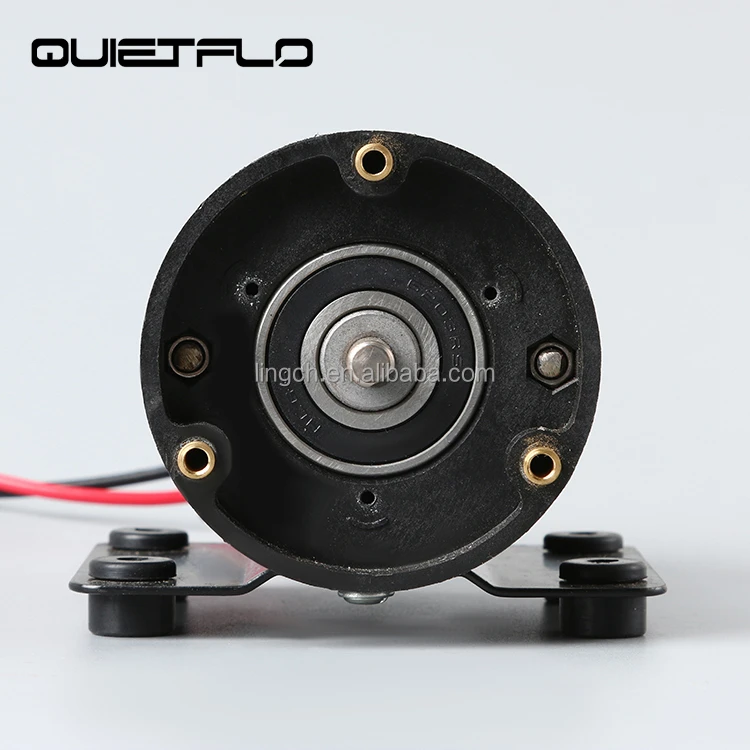 12V 24V Permanent magnet  pump DC motor