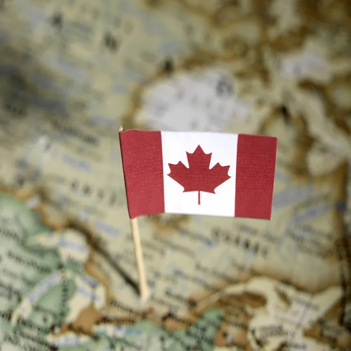 International shipping from Shenzhen freight forwarder sea  shipping China to Canada