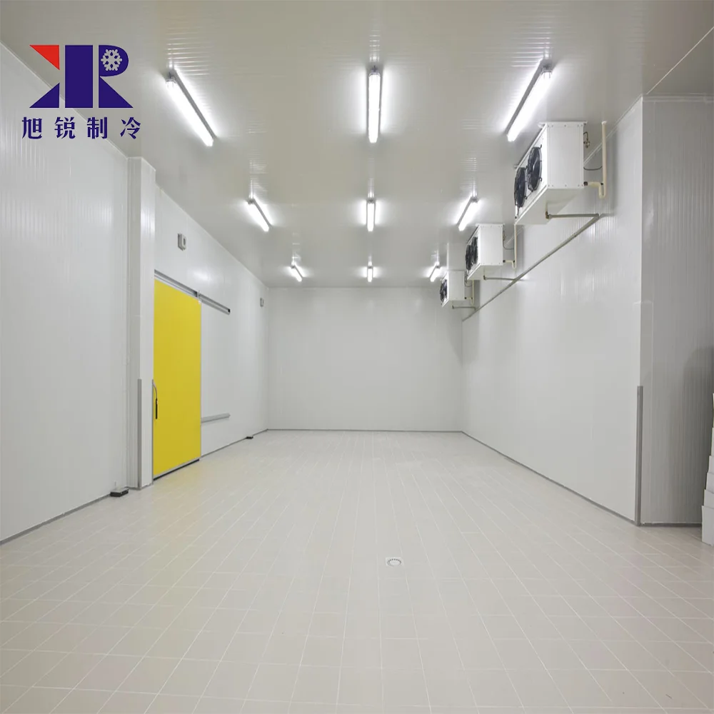 cold room with condengsing unit for grape /vegetable/Mango/lemon/fruit